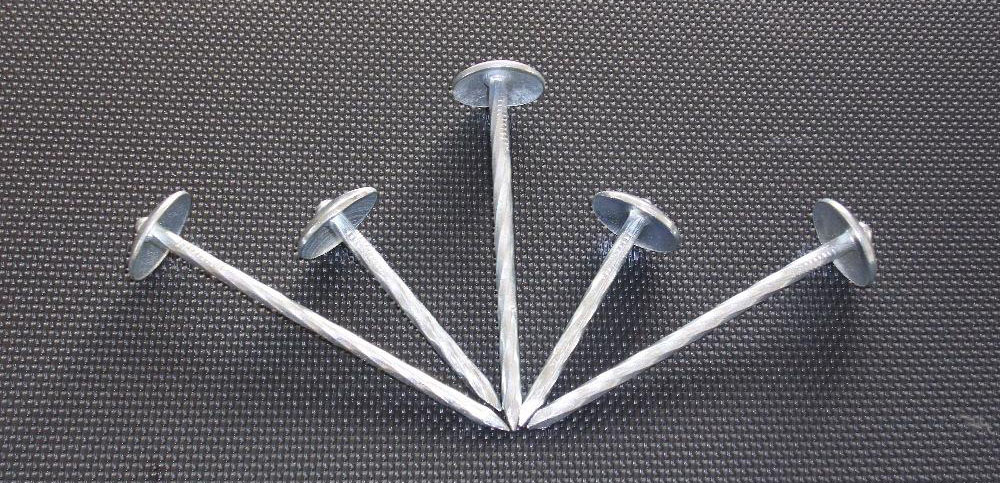 1763520916802897.jpg 215ae01003f5769e38c5c110b8a5de78.jpg